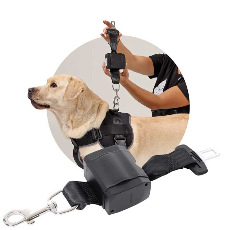 Sicherheit
