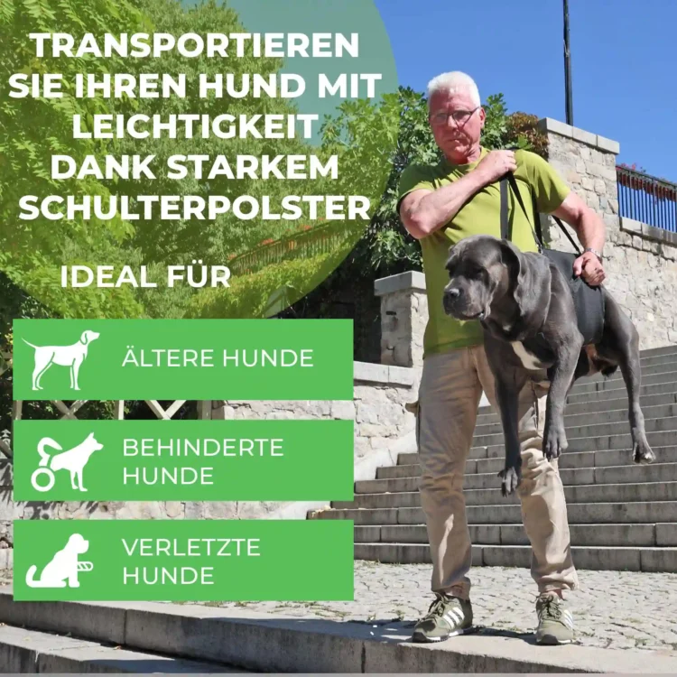 Tragehilfe Basic 11 Durchgehende Tragehilfe Basic für Hunde