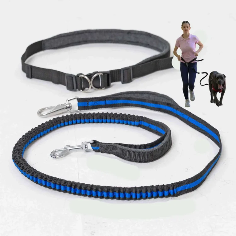 Flexible Joggingleine für Hunde 19 Hunde Joggingleine