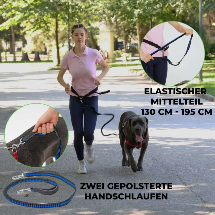 Flexible Joggingleine für Hunde 17 Hunde Joggingleine