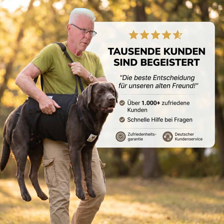 Ganzkörpertrage Basic
