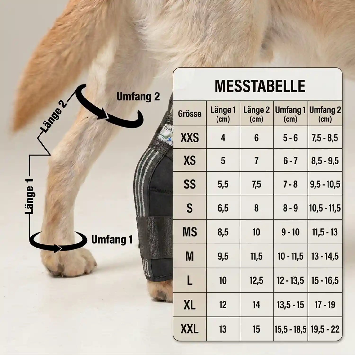 Sprunggelenk Stabilisierungsbandage für Hunde von Nature Pet